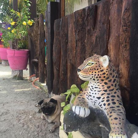 Hotel Hacienda La Catrina Isla Holbox Exteriér fotografie