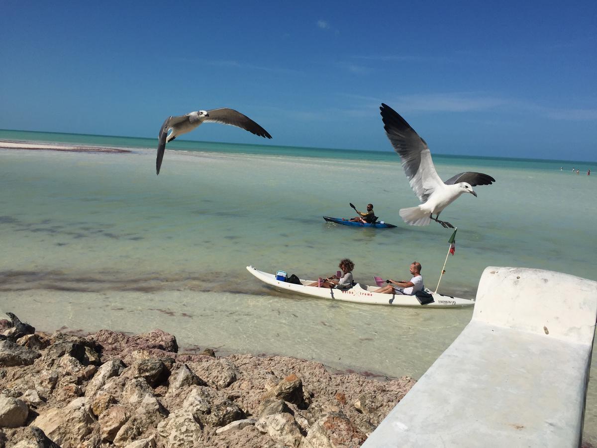 Hotel Hacienda La Catrina Isla Holbox Exteriér fotografie