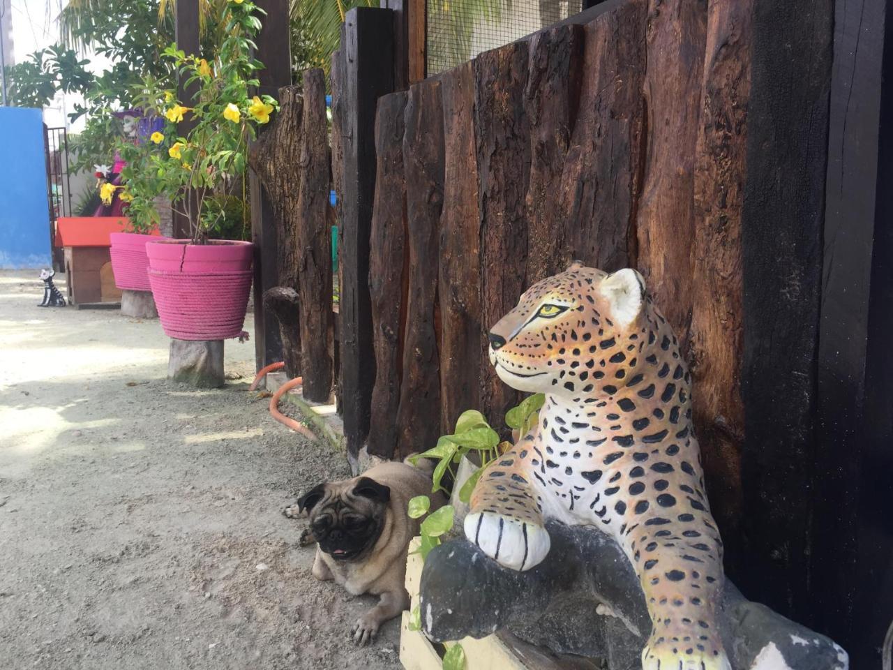 Hotel Hacienda La Catrina Isla Holbox Exteriér fotografie